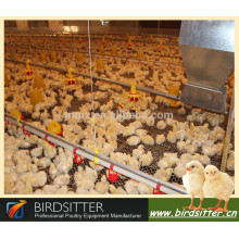 new design modern automatic chicken bird farm design